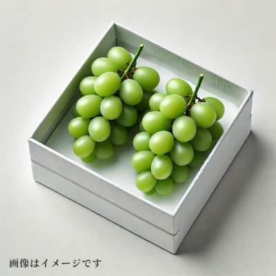 【2026年発送】朝採り直送!さつきぶどう園シャインマスカット2房1.0kg程度【フルーツ王国岡山】【配送不可地域：離島】【1591722】