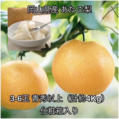 岡山県産 あたご梨3-6玉 青秀以上(約4kg) 化粧箱入り【配送不可地域：離島】【1710846】