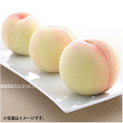 【2026年発送】岡山県産　清水白桃　5玉　約1.3kg【配送不可地域：離島】【1493873】