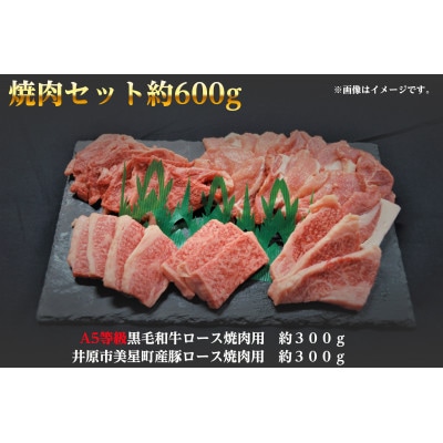 焼肉セット600g(2〜3人用)A5等級 黒毛和牛ロース約300gと豚ロース約300g 岡山県産【配送不可地域：離島】【1184123】