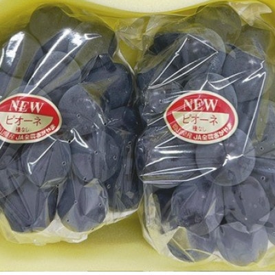【2026年発送】岡山県産 ニューピオーネ 2房(約1.1kg)　化粧箱入り【配送不可地域：離島】【1710840】