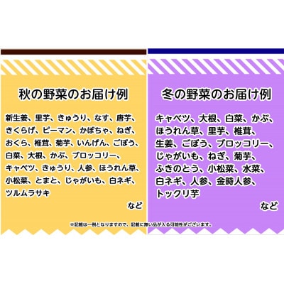 旬の農産物(野菜・果物など)詰合せ【7品以上】【配送不可地域：離島】【1419890】