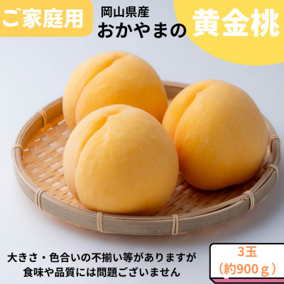 【2026年発送】ご家庭用　おかやまの黄金桃　大玉3玉　約900g【配送不可地域：離島】【1493884】