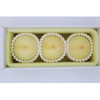 2026岡山県産　夢白桃　3玉(ロイヤル)【配送不可地域：離島】【1641785】