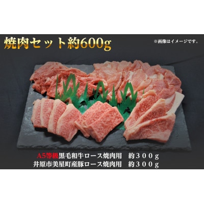 焼肉セット600g(2〜3人用)A5等級 黒毛和牛ロース約300gと豚ロース約300g 岡山県産【配送不可地域：離島】【1416011】