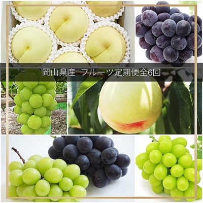 【発送月固定定期便】岡山県産  フルーツ定期便全6回【配送不可地域：離島・北海道・沖縄県】【4078864】