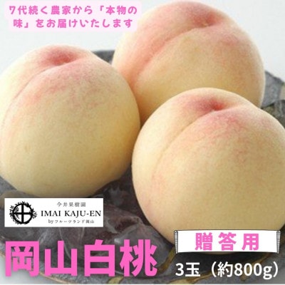 【2026年発送】岡山県産　白桃 3玉　約800g【配送不可地域：離島】【1493865】