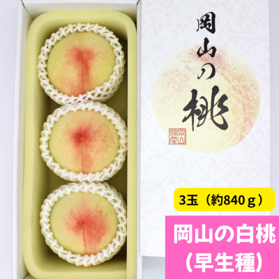 【2026年発送】岡山の白桃(早生種)　大玉3玉(約840g)【配送不可地域：離島】【1493938】