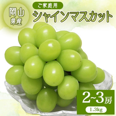 2026年先行予約　ご自宅用シャインマスカット【配送不可地域：離島】【1673363】