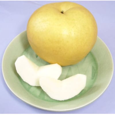 ã2026幎å
è¡åä»ããããæ¢š2ç(1.1kgÃ2ç)åç²§ç®±ã1184118ã