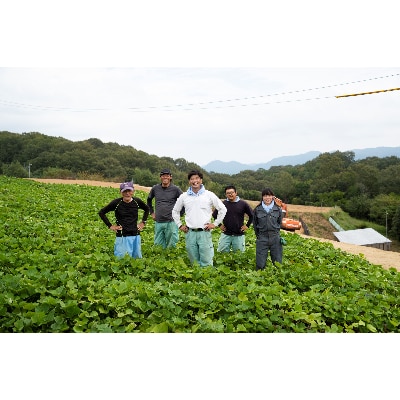 【早雲蜜芋】冷やし焼き芋「ひゃっこいも」【配送不可地域：離島】【1237686】