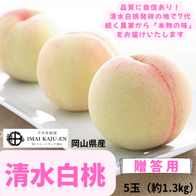 【2026年発送】岡山県産　清水白桃　5玉　約1.3kg【配送不可地域：離島】【1493873】