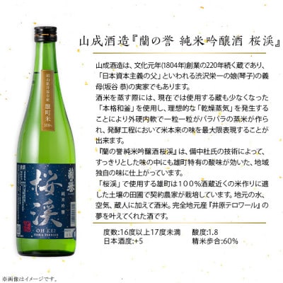 【びんご圏域連携】備後の日本酒『純米吟醸酒』飲み比べセット【1569930】