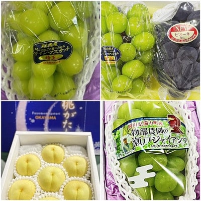 ãçºéæåºå®å®æäŸ¿ã岡山çç£ ãã«ãŒãå®æäŸ¿å
š4åãé
éäžå¯å°åïŒé¢å³¶ã»åæµ·éã»æ²çžçãã4078865ã