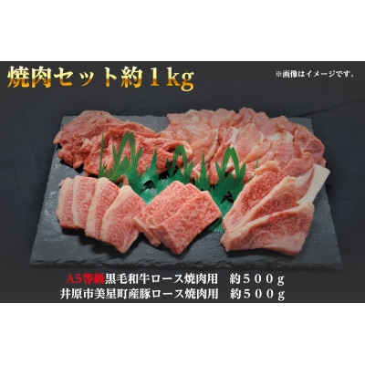 焼肉セット1kg(4〜5人用)A5等級 黒毛和牛ロース約500gと豚ロース約500g 岡山県産【配送不可地域：離島】【1184124】