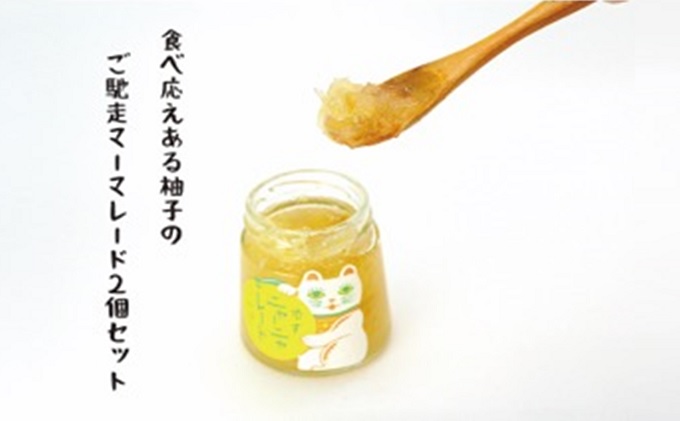 ニャンとも可愛い柚子マーマレード【柚子ニャーニャレード2個セット】 ジャム