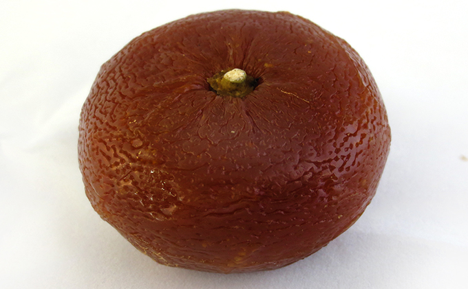 柚子の香あそび 猫金【配達不可：北海道・離島】 和菓子 スイーツ お菓子 ゆべし もなか 最中 せんべい 