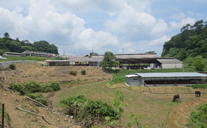 ［農林水産大臣賞受賞］備中牛 和牛すき焼き用スライス 800g お肉 牛肉 