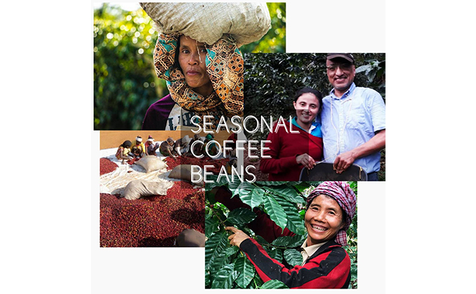 【メール便】 飲み比べドリップコーヒー、2種のスペシャルティコーヒー10杯分 飲料 珈琲 飲料類 ドリンク 