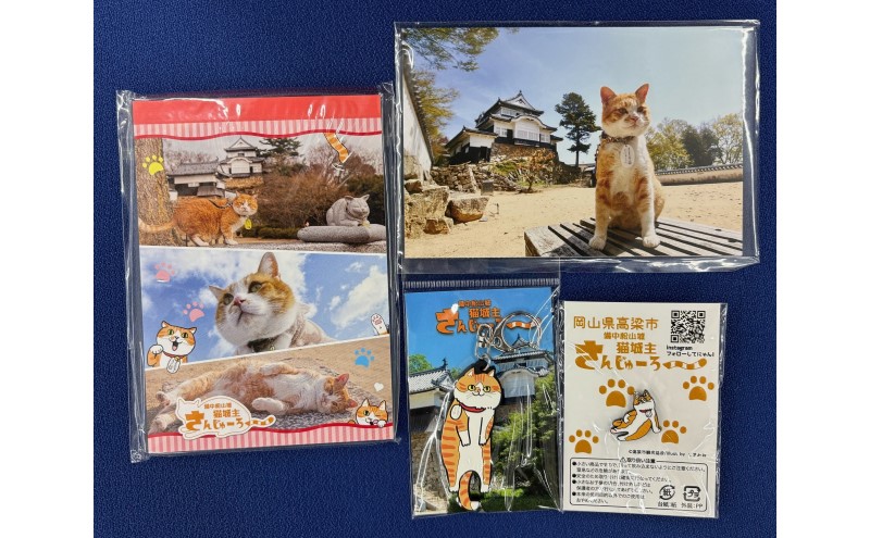 さんじゅーろーグッズセット 雑貨 文房具 小物 詰め合わせ ネコ 実写 猫城主 ポストカード メモ帳 A6 サイズ ピンバッヂ ラバー キーホルダー