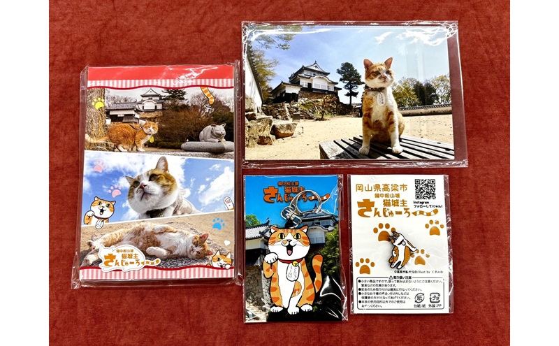 さんじゅーろーグッズセット 雑貨 文房具 小物 詰め合わせ ネコ 実写 猫城主 ポストカード メモ帳 A6 サイズ ピンバッヂ ラバー キーホルダー