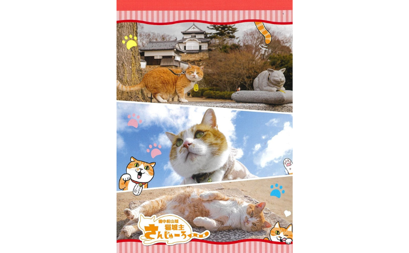 さんじゅーろーグッズセット 雑貨 文房具 小物 詰め合わせ ネコ 実写 猫城主 ポストカード メモ帳 A6 サイズ ピンバッヂ ラバー キーホルダー 