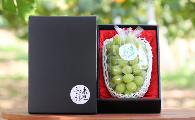 黒 シャイン マスカット 1房 650g以上 葡萄 ぶどう フルーツ 岡山 高梁市産 赤迫農園 2026年 先行予約 果物 デザート 愛情 最高 新鮮 桐箱入り 美味しい