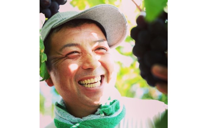 é» ãã¥ãŒ ããªãŒã 1æ¿ 650gä»¥äž è¡è ã¶ã©ã ãã«ãŒã 岡山 髿¢åžç£ 赀迫蟲å 2026幎 å
è¡äºçŽ æç© ãã¶ãŒã ææ
æé« æ°é®® æ¡ç®±å
¥ã çŸå³ãã