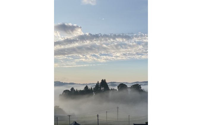 é» ãã¥ãŒ ããªãŒã 1æ¿ 650gä»¥äž è¡è ã¶ã©ã ãã«ãŒã 岡山 髿¢åžç£ 赀迫蟲å 2026幎 å
è¡äºçŽ æç© ãã¶ãŒã ææ
æé« æ°é®® æ¡ç®±å
¥ã çŸå³ãã