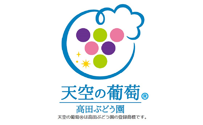 ぶどう 2026年度 早期受付 天空の葡萄(登録商標) ニュー ピオーネ 3～4房 2kg以上 1箱 美味しい笑顔をお約束 葡萄 フルーツ 岡山 高梁市産
