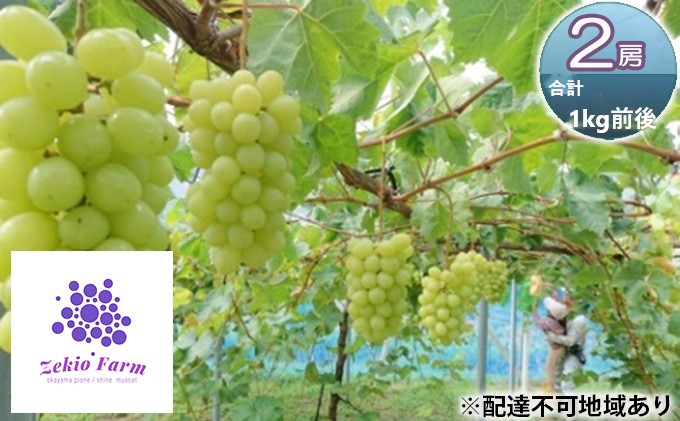 ã·ã£ã€ã³ãã¹ã«ãã 2æ¿ åèš1kgååŸ è¡è ãã«ãŒã 岡山 髿¢åžç£ ããã蟲å ã¶ã©ãclub 2026幎 å
è¡äºçŽ æç©é¡