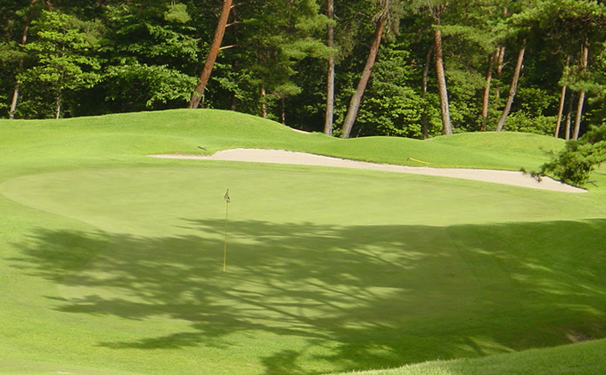 パインツリーゴルフクラブ 1組土日祝日プレー無料優待券（昼食付） ゴルフ場 利用券 優待チケット 丘陵 林間 コース 松林 自然 戦略的 スポーツ 趣味 ビジネス 社会人