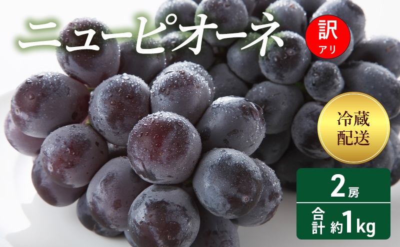 【2026年 先行予約】【訳あり品】 ニューピオーネ 2房 合計約1kg 冷蔵配送 ぶどう 葡萄 フルーツ 果物 岡山 岡山のぶどう 食後 デザート 産地直送 大粒 食べ応え ちょうどよい甘さ 種無し