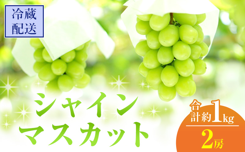 2025年 先行予約 シャインマスカット 2房 合計約1kg 冷蔵配送 ぶどう 葡萄 フルーツ 果物 岡山 岡山のぶどう 岡山の果物 食後 デザート 産地直送 大粒 皮ごと 種無し