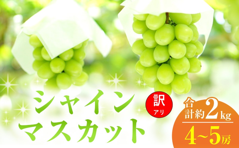 【2026年 先行予約】【訳あり品】 シャインマスカット 4～5房 合計約2kg 常温配送 ぶどう 葡萄 フルーツ 果物 岡山 岡山のぶどう 岡山の果物 食後 デザート 産地直送 大粒 皮ごと 種無し
