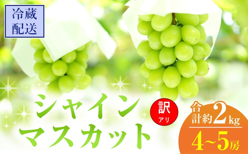 【2026年 先行予約】【訳あり品】シャインマスカット 4～5房 合計約2kg 冷蔵配送 ぶどう 葡萄 フルーツ 果物 岡山 岡山のぶどう 岡山の果物 食後 デザート 産地直送 大粒 皮ごと 種無し