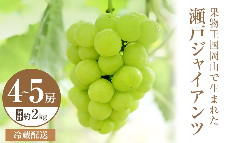 2025年 先行予約 瀬戸ジャイアンツ 4～5房 合計約2kg 冷蔵配送 ぶどう 葡萄 フルーツ 果物 岡山 岡山のぶどう 食後 デザート 産地直送 皮ごと 酸味が少ない 爽やか 甘い 