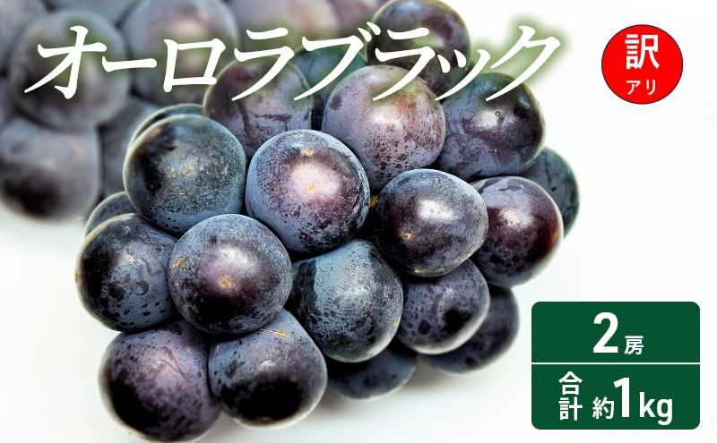 【2026年 先行予約】【訳あり品】オーロラブラック 2房 合計約1kg 常温配送 ぶどう 葡萄 フルーツ 果物 岡山 岡山のぶどう 食後 デザート 産地直送 大粒 爽やか 食べやすい