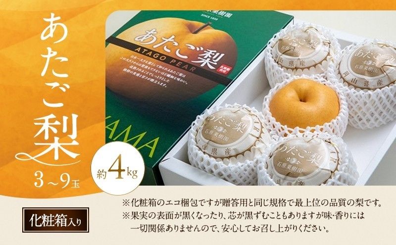 梨 2026年 先行予約 あたご梨 3～9玉 合計約4kg 化粧箱【11月下旬～12月中旬頃発送】 ナシ なし 岡山県産 国産 フルーツ 果物 ギフト 石原果樹園 繊細な味 ジャンボ梨 