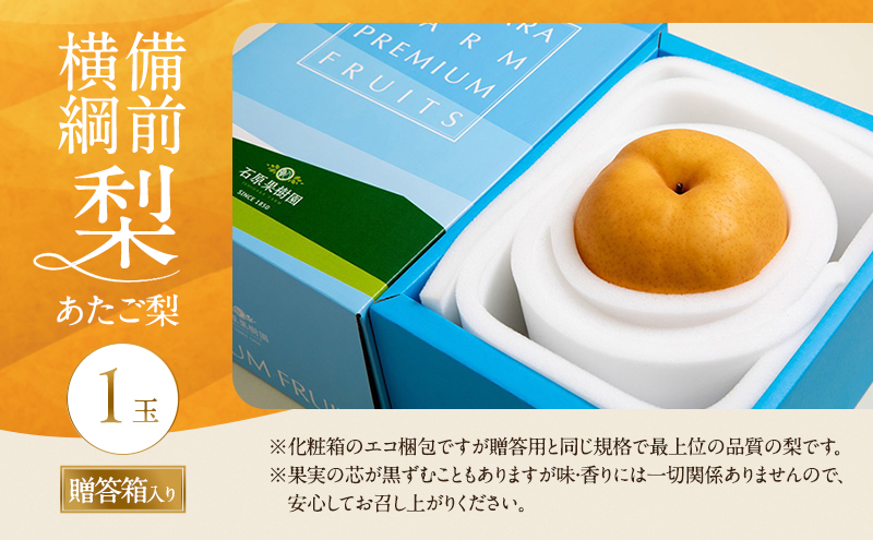 梨 備前横綱梨（あたご梨） 1玉 (1～1.4kg) 贈答箱【11月下旬～2月中旬頃発送】 ナシ なし 岡山県産 国産 フルーツ 果物 ギフト 石原果樹園 繊細な味 ジャンボ梨 