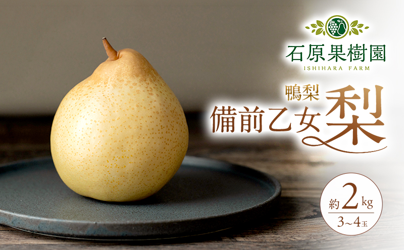 梨 2026年 先行予約 備前乙女梨（鴨梨） 3～4玉 合計約2kg【11月下旬～12月中旬頃発送】 ナシ なし 岡山県産 国産 フルーツ 果物 ギフト 石原果樹園 風味豊か 上品 希少な梨
