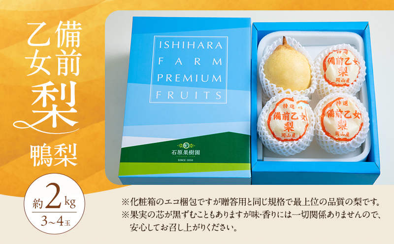 譴ィ 2026蟷エ 蜈郁。御コ育エ 蛯吝燕荵吝・ウ譴ィシ磯エィ譴ィシ 3ス4邇 蜷郁ィ育エ2kg縲11譛井ク区流ス12譛井クュ譌ャ鬆逋コ騾√ 繝翫す 縺ェ縺 蟯。螻ア逵檎肇 蝗ス逕」 繝輔Ν繝シ繝 譫懃黄 繧ョ繝輔ヨ 遏ウ蜴滓棡讓ケ蝨 鬚ィ蜻ウ雎翫° 荳雁刀 蟶悟ー代↑譴ィ