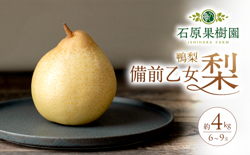 梨 2026年 先行予約 備前乙女梨（鴨梨） 6～9玉 合計約4kg【11月下旬～12月中旬頃発送】 ナシ なし 岡山県産 国産 フルーツ 果物 ギフト 石原果樹園 風味豊か 上品 希少な梨