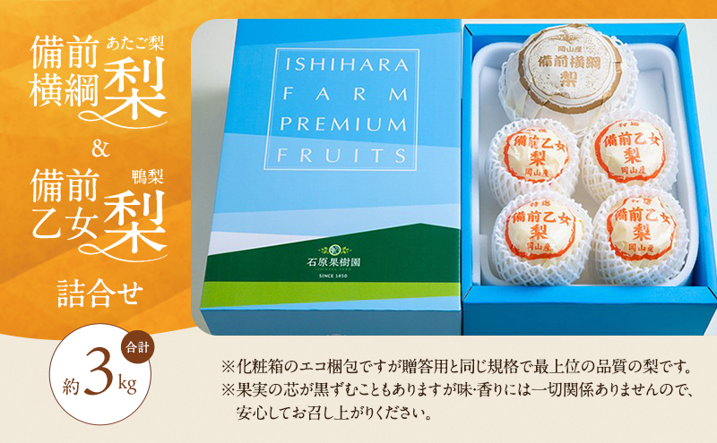 梨 2026年 先行予約 備前横綱梨（あたご梨）1玉 (1～1.5kg)・備前乙女梨（鴨梨） 3～5玉 詰合せ 合計約3.0kg【11月下旬～12月中旬頃発送】 岡山県産 フルーツ ギフト 石原果樹園 果物 食べ比べ 