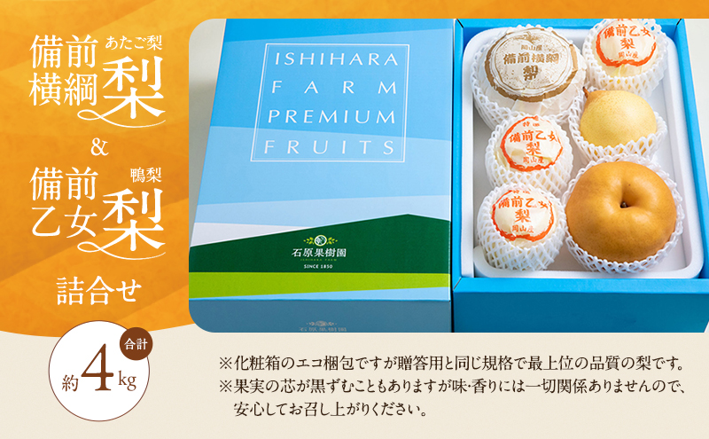 梨 2026年 先行予約 備前横綱梨（あたご梨） 2玉（1玉1～1.5kg）・備前乙女梨（鴨梨） 4～6玉 詰合せ 合計約4.0kg【11月下旬～12月中旬頃発送】岡山県産 フルーツ ギフト 石原果樹園 