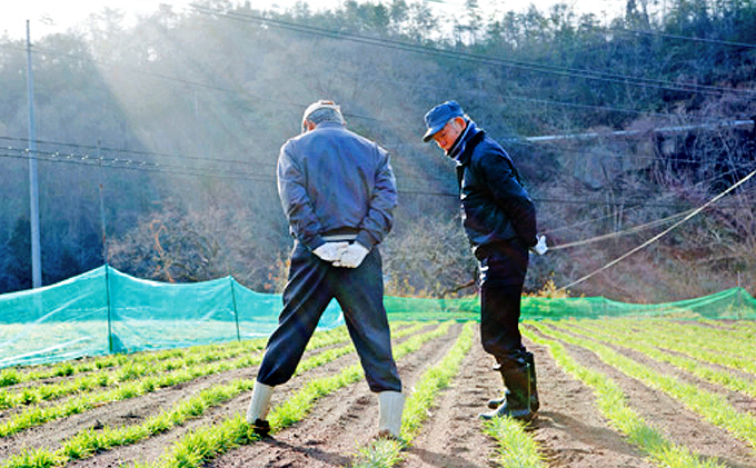 繧ゅ■鮗ヲ蝠蜩∬ゥー繧∝粋繧上○B 鬮俶「∝ク 螳豐サ逕コ逕」 縺企 繝薙シ繝ォ 邀ウ 繧サ繝繝