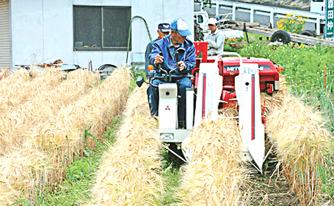 繧ゅ■鮗ヲ蝠蜩∬ゥー繧∝粋繧上○B 鬮俶「∝ク 螳豐サ逕コ逕」 縺企 繝薙シ繝ォ 邀ウ 繧サ繝繝