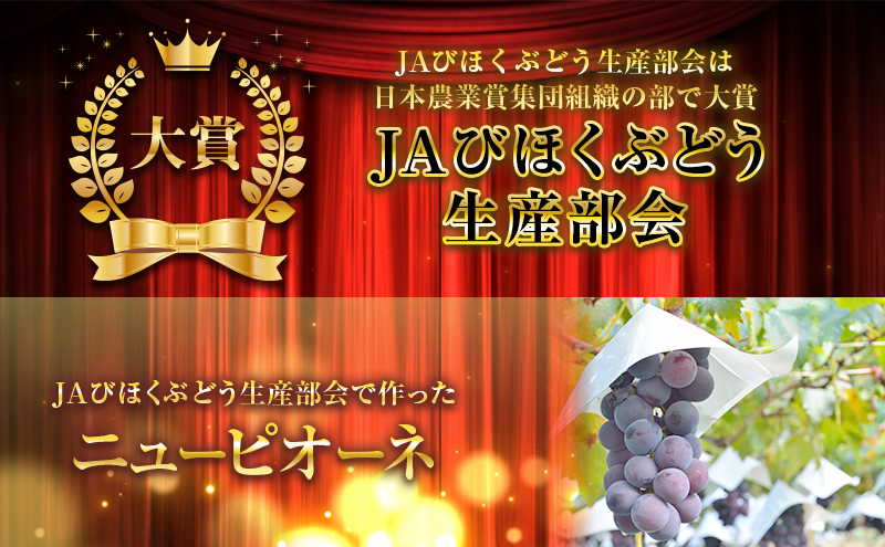 繝九Η繝シ 繝斐が繝シ繝 邏2kg 3ス5謌ソ 縺カ縺ゥ縺 闡。關 繝輔Ν繝シ繝 蟯。螻ア 鬮俶「∝クら肇 2026蟷エ 蜈郁。御コ育エ 譫懃黄鬘 譫懃黄