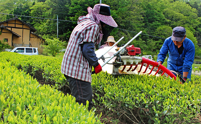 びほくの番茶 500g×2袋 飲料 ドリンク 飲料類 お茶 