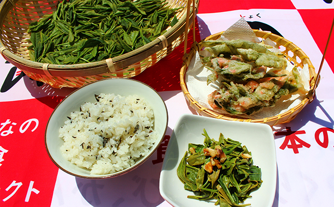 びほくの番茶 500g×2袋 飲料 ドリンク 飲料類 お茶 